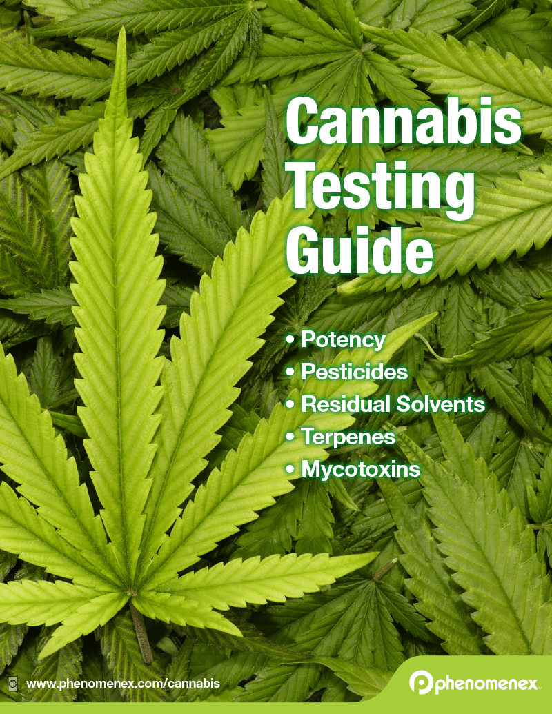 Cannabis Testing Guide