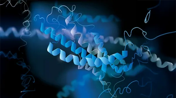 peptides