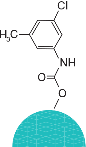 Lux i-Amylose-3