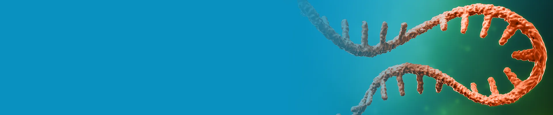 25-10-claritypro-1765492578_BP1025