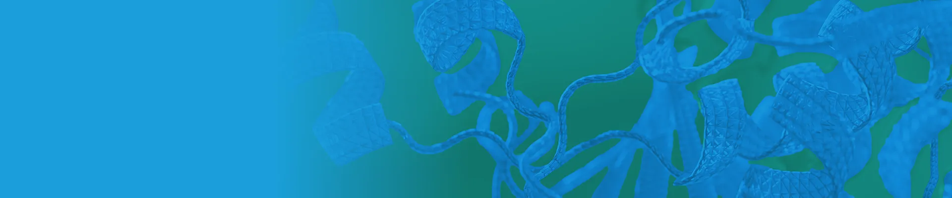 Biozen dSEC-1 25-10-dSEC-1-1713356402_BP0725