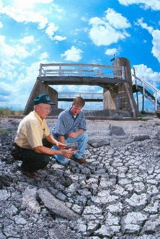 PFAS, FDA, USDA 