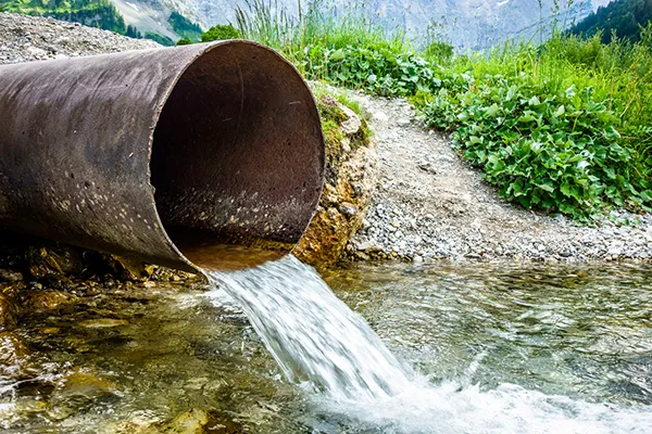 iStock-1001660072-1024x683