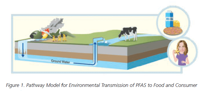 Pathway Model for Environmental Transmission of PFAS to Food and Consumer - PFAS in Food