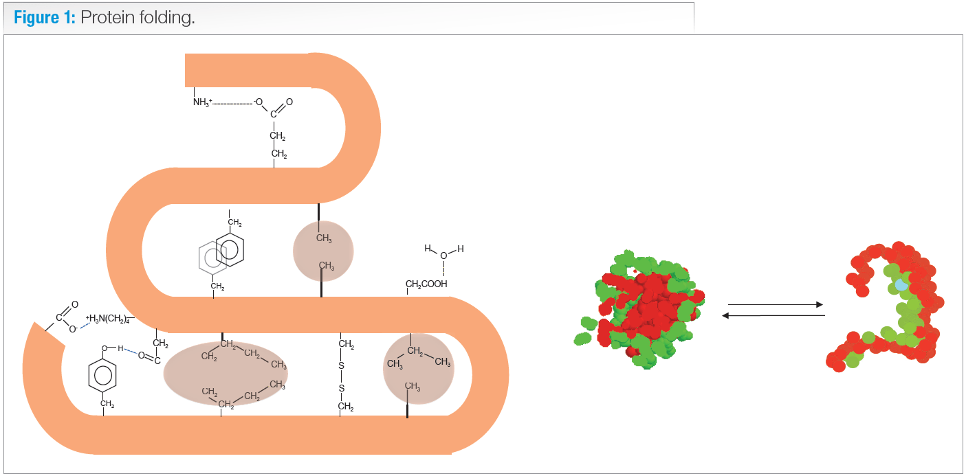 protein folding PH