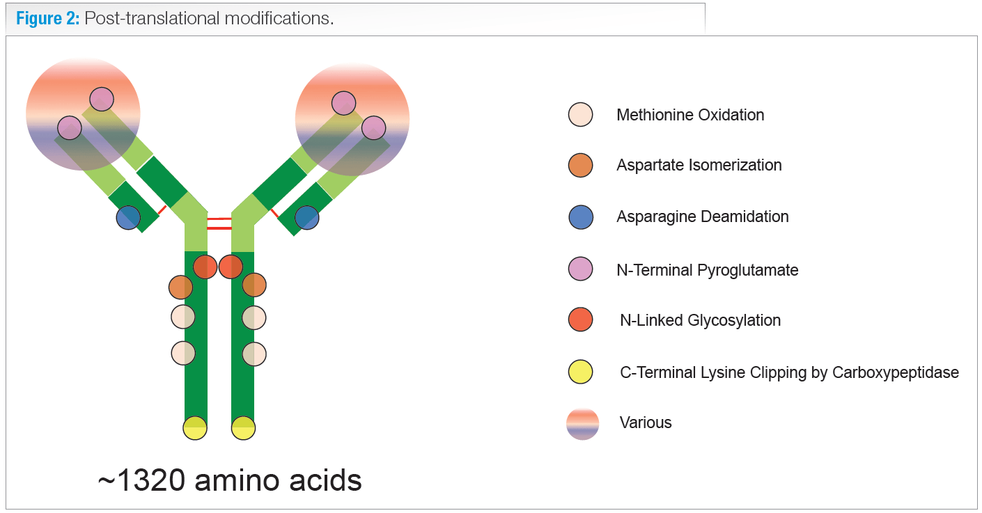Analyzing proteins 