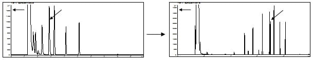 early-eluting-peak
