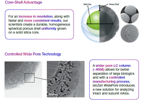 biozen wider pore column