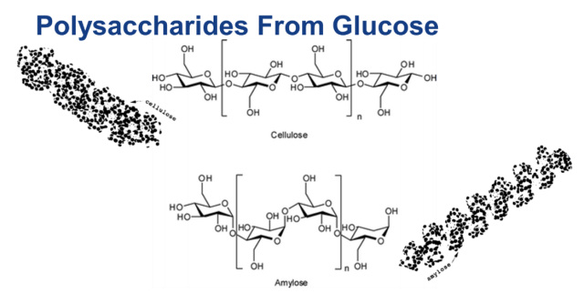 Chiral Compounds - Cellulose and Amylose Structure