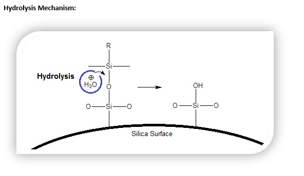 Hydrolysis Mechanism