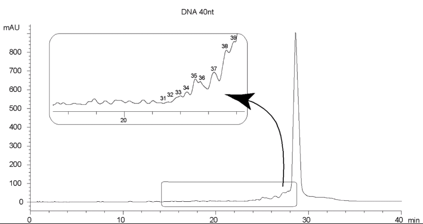 40nt DNA Oligo-RP 3µm Fingerprint