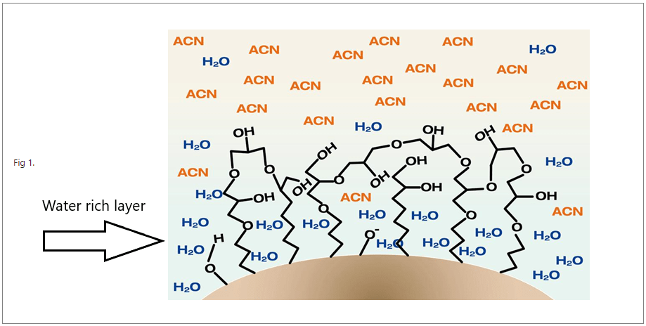 HILIC works by retaining polar compounds into a water rich layer that is formed at the surface of the silica particle as a result of a polar stationary phase.