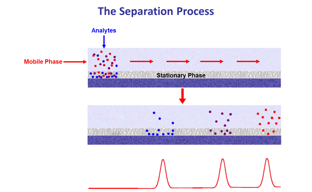 HPLC Separation Process