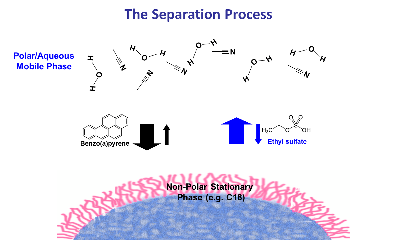 Seperation Process HPLC particle view