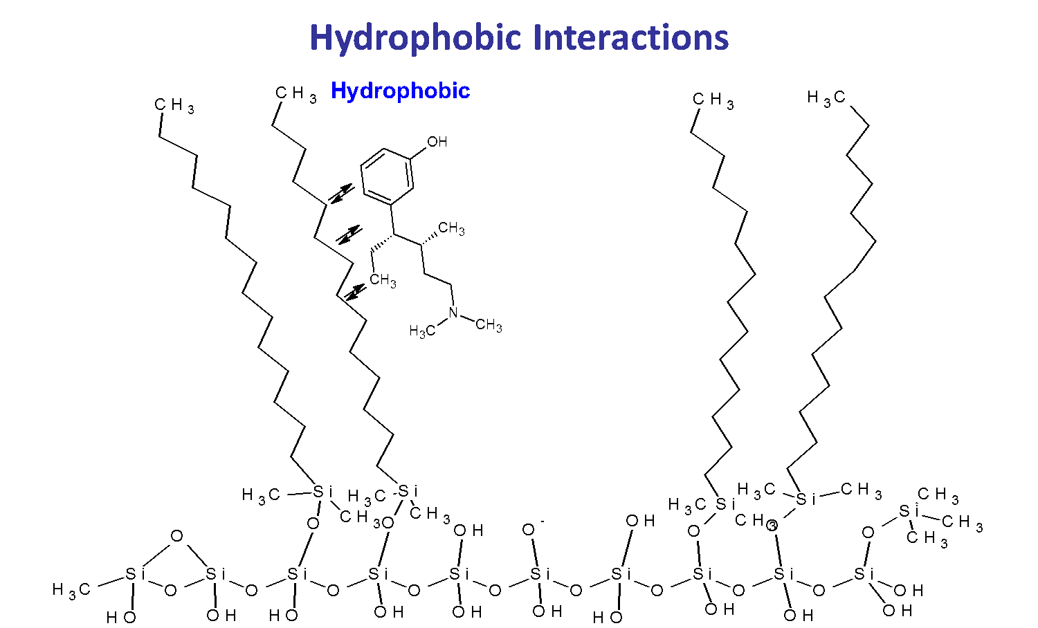 hydrophobic interaction in HPLC 