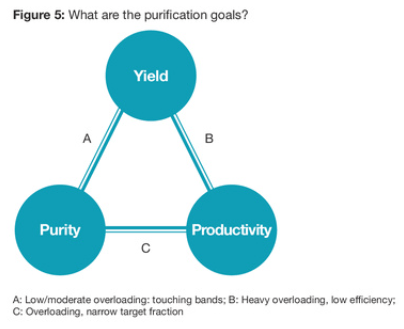 purification goals for reverse phase chromatography 