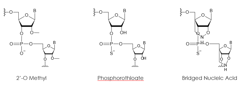 Examples of Synthetic Oligonucleotide Modifications used to improve stability