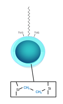 Synthetic Oligonucleotides