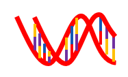Design of oligonucleotide structure