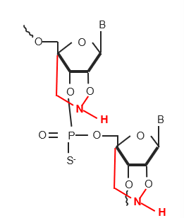 Complementary RNA and DNA structures of oligonucleotides