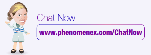Chat now technical specialist online service