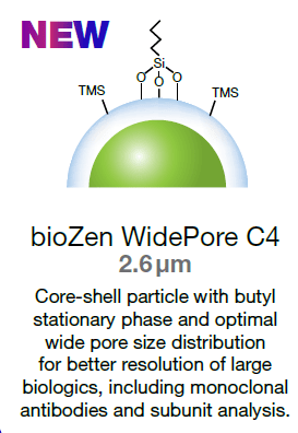 biozen WidePore particle - a wider pore column