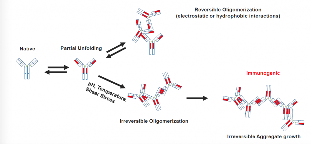 reversible oligomerization