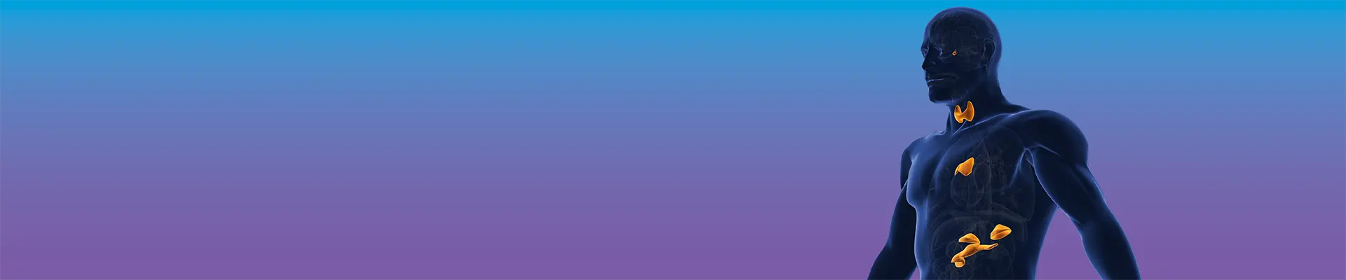 Endocrine and Biomarker Analysis endocrine-1501573866_BP0924