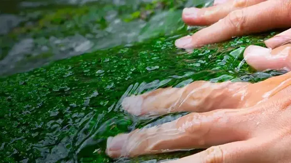 industries enivronmental