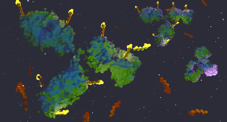 25_biozen-native-rp1-rp5