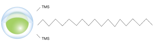 Clarity Oligo-MS 