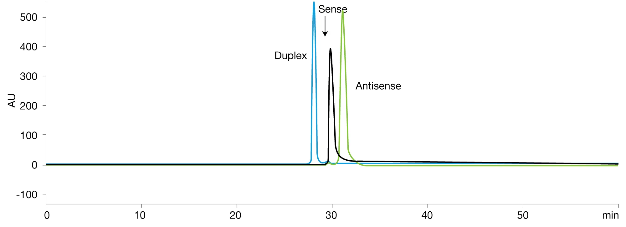 Antisense Strands in CholTEG-Conjugated siRNA