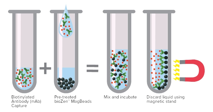 Immunocapture Magnetic Beads: Phenomenex