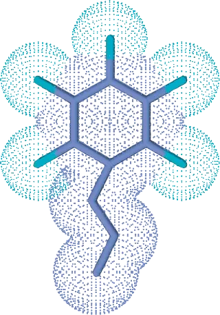 PFP_particle