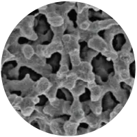 Strata Activated Carbon