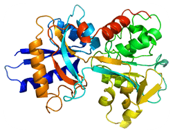 Protein Compound Separated by GFC