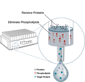 phospholipid-removal