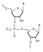 oligonucleotides-0321