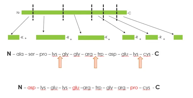 sp-tech-tip-apr20-fig1